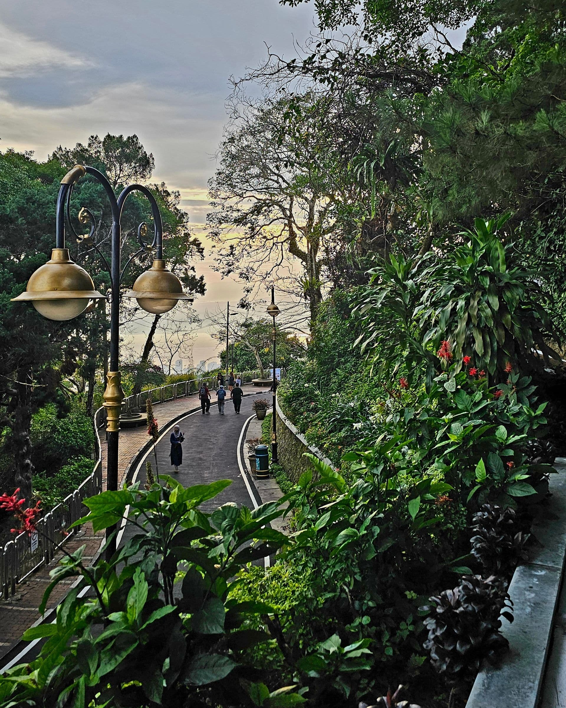A hiking trail winding through cool forest at the summit of Penang Hill