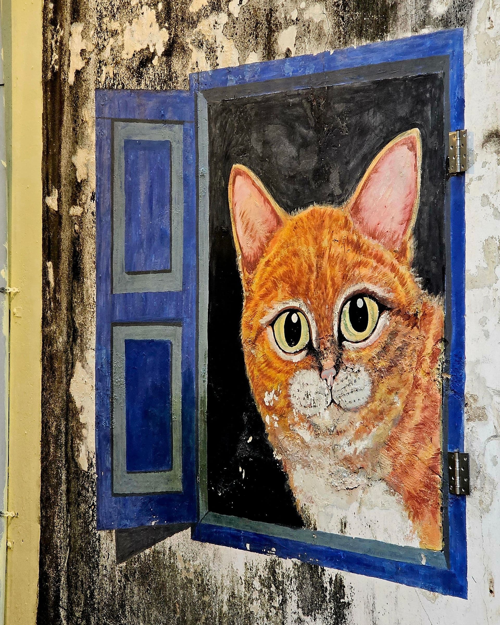 The Window Cat mural by WK Setor, a painted cat looking out from a window in a small alley off Cannon Street